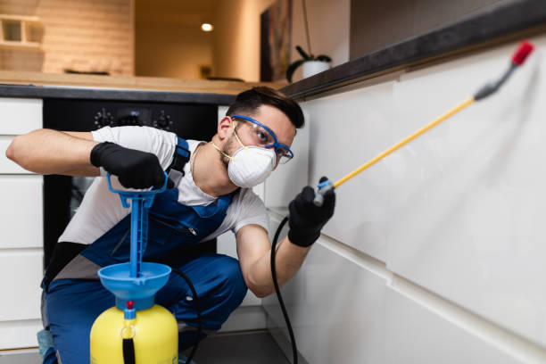 Best Commercial Pest Control Services  in Wood River, NE
