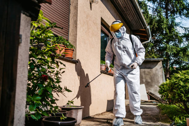 Best Mosquito Control Services  in Wood River, NE