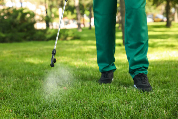 Best Affordable Pest Control Services  in Wood River, NE