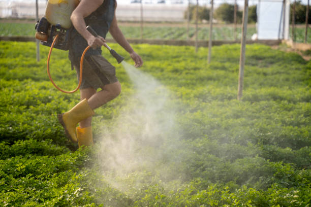 Best Pest Removal Services  in Wood River, NE